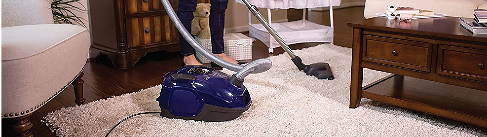 The 25 Best Canister Vacuums