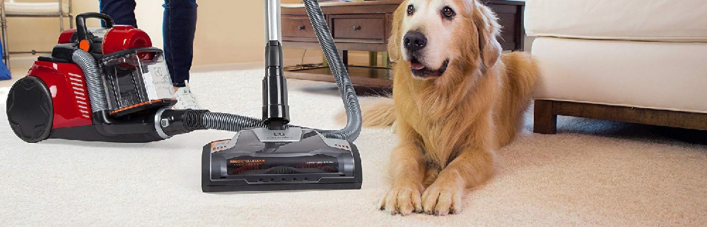 The 7 Best Canister Vacuums to Buy