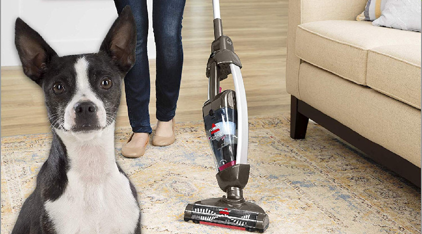 BISSELL Lift-Off Floors & More Pet - Cordless