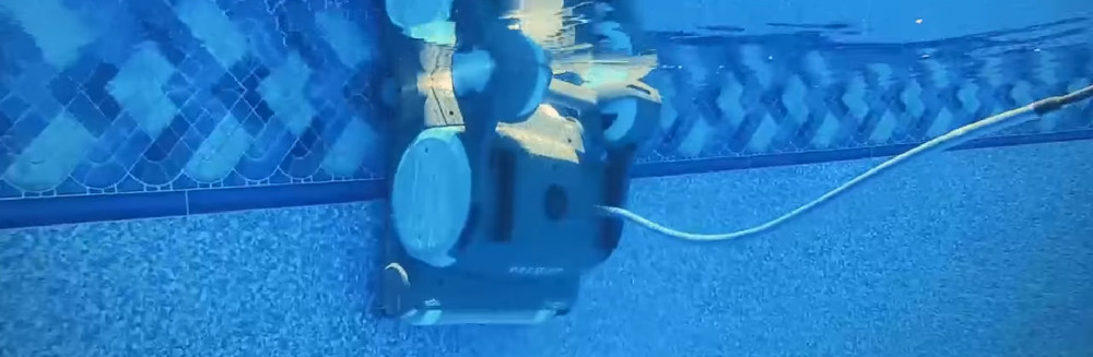 Aquabot vs. Dolphin
