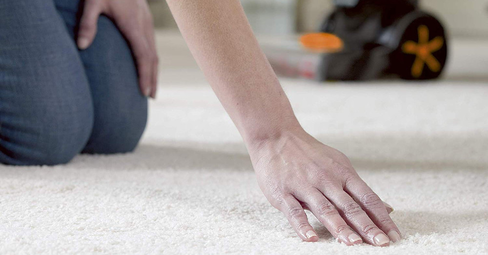 BISSELL ProHeat 2X Revolution Pet Carpet Cleaner