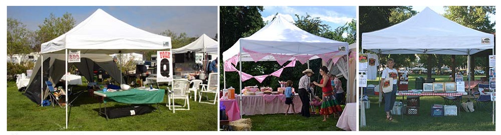 Eurmax 10'x10' Ez Pop Up Canopy Tent Commercial Instant Canopies