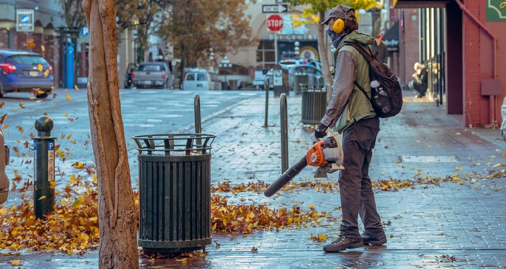 Different Types of Leaf Blowers