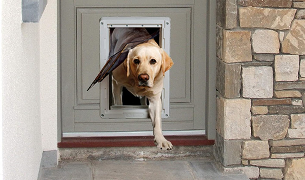 Best Smart Pet Doors in 2022