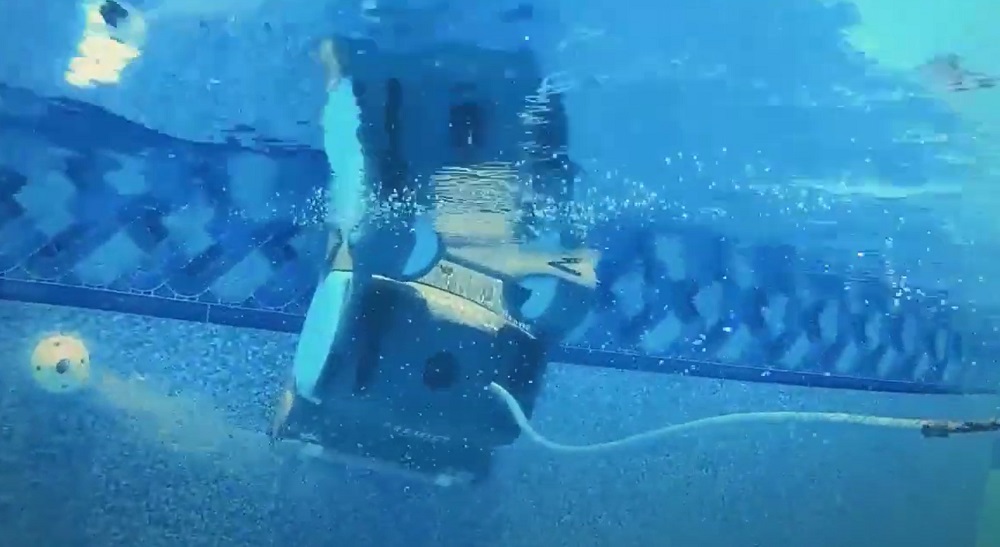 Dolphin Premier