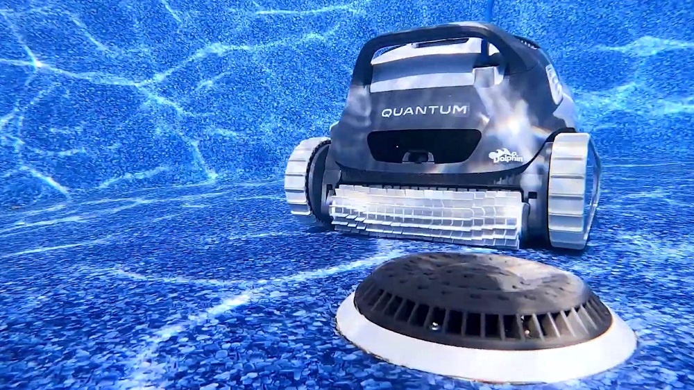 Dolphin Quantum