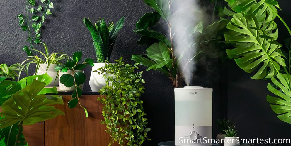 What is the best filterless humidifier?