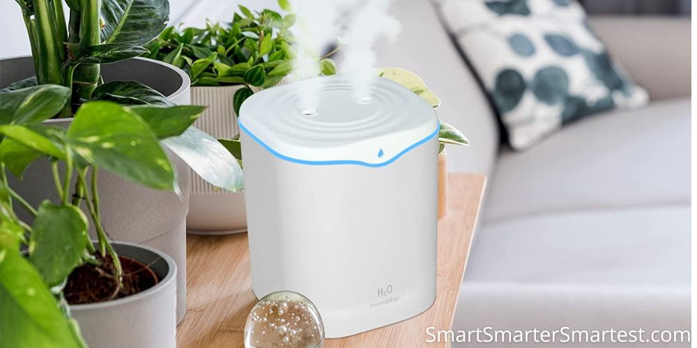 Can You Run a Humidifier Without a Filter
