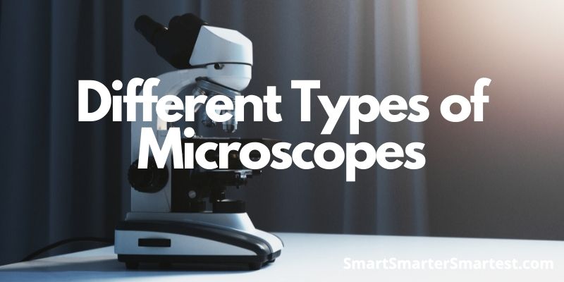Different Types of Microscopes