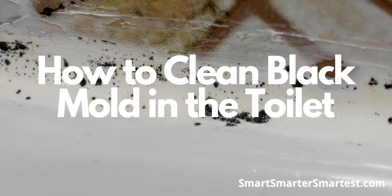 How to Clean Black Mold in the Toilet
