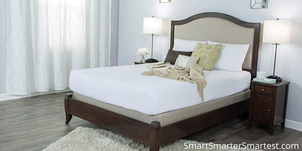 SafeRest vs. Utopia vs. Sureguard vs. Linenspa vs. ProtectABed vs. Luna