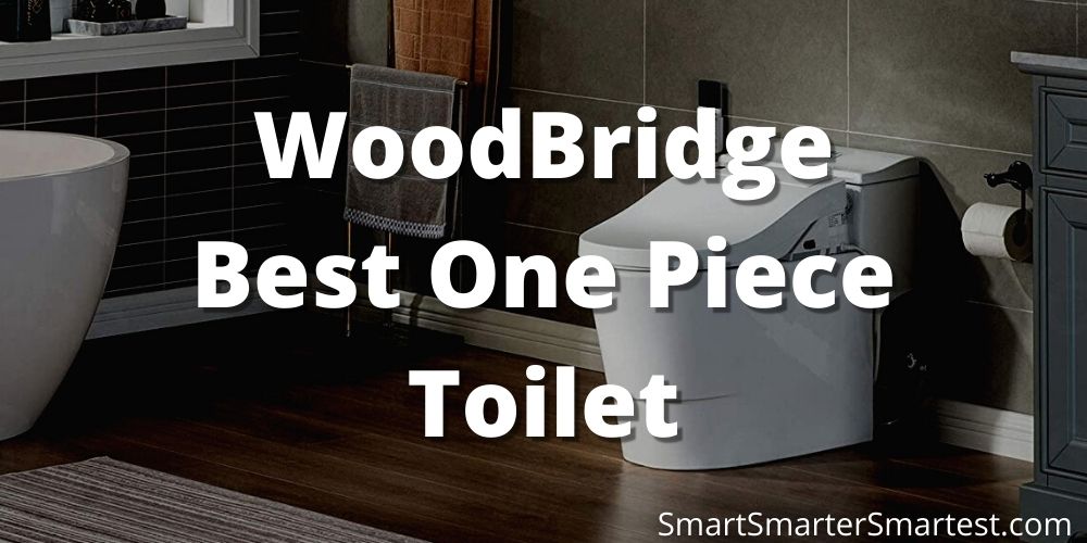 WoodBridge Best One Piece Toilet