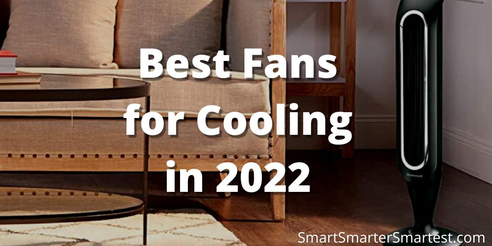 Best Fans for Cooling in 2023