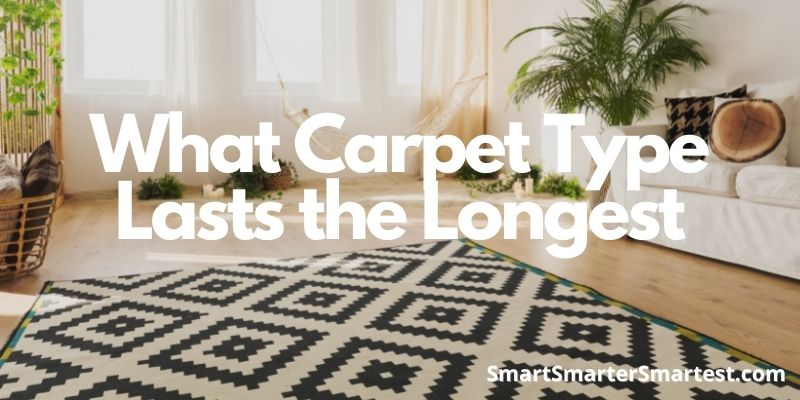 What Carpet Type Lasts the Longest